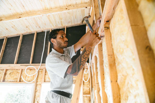 Best Attic Insulation Installation  in Durant, IA